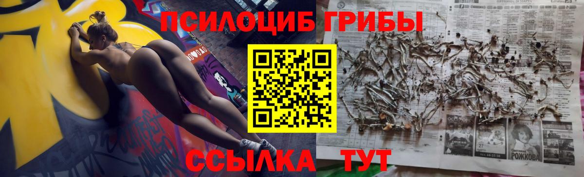 Псилоцибиновые грибы Psilocybine cubensis Георгиевск